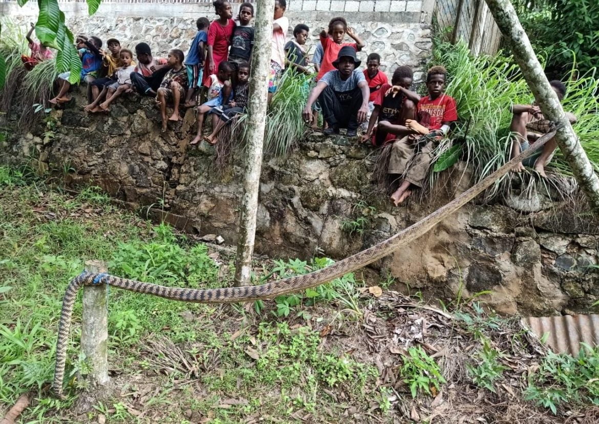 Dililit Ular, Seorang Anggota Satpol PP Tewas - Cepos Online