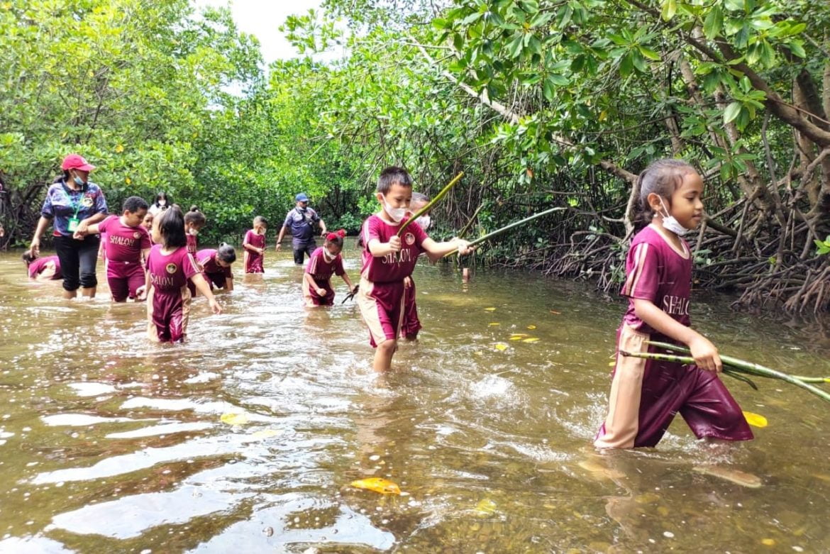 Belajar Soal Hutan Bakau Sekaligus Hunting Bibit – Papuanesia.id Belajar Soal Hutan Bakau Sekaligus Hunting Bibit - Cepos Online