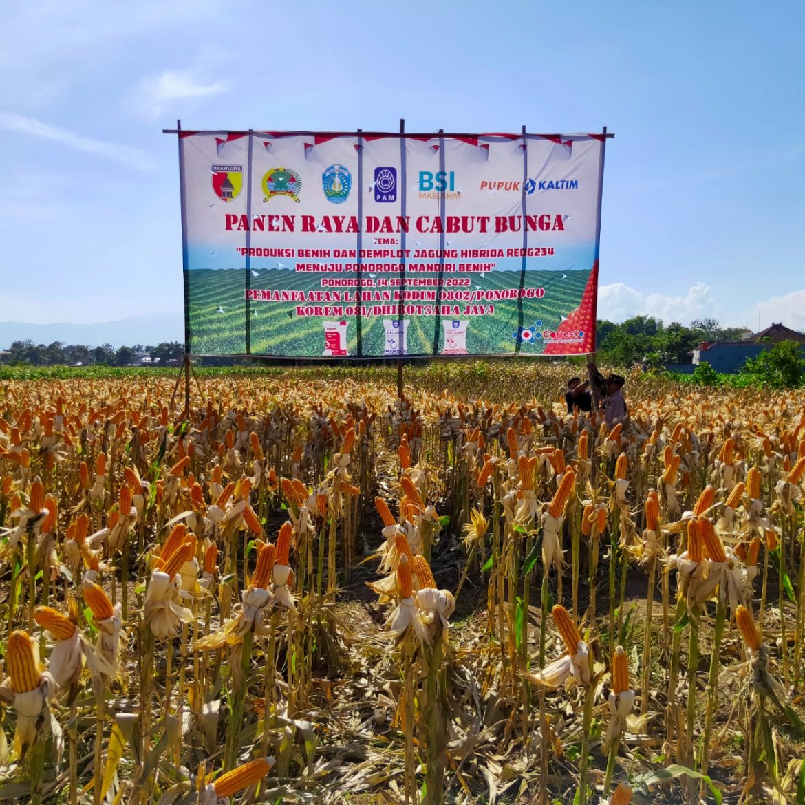 Sukseskan Ponorogo Mandiri Benih, Pupuk Kaltim Hadirkan Ragam Produk Unggulan Sukseskan Ponorogo Mandiri Benih, Pupuk Kaltim Hadirkan Ragam Produk Unggulan - Cepos Online