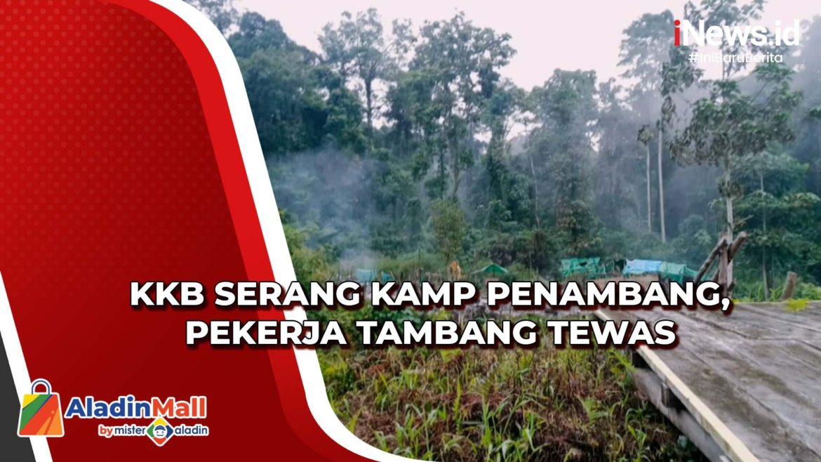 KKB Papua Pimpinan Bocor Sobolim Serang Kamp Penambang di Pegunungan KKB Papua Pimpinan Bocor Sobolim Serang Kamp Penambang di Pegunungan Bintang